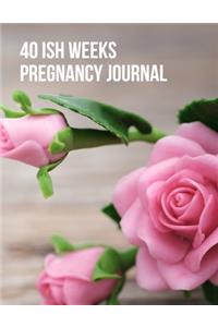40ish Weeks Pregnancy Journal