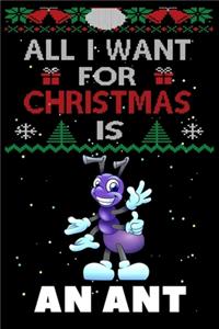 All I Want For Christmas Is An Ant