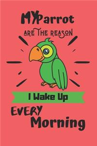 My Parrot are the reason I wake up every morning