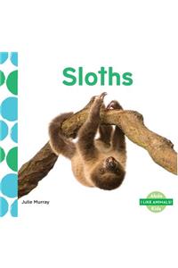 Sloths