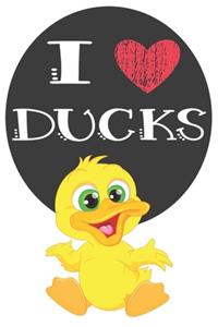 I Heart Ducks