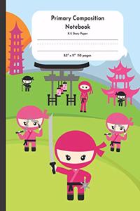 Primary Composition Notebook K-2 Story Paper 8.5 x 11 110 pages