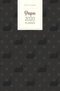 Popo 2020 Planner