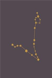 Ruled Notebook / Journal, Pisces Zodiac, Pisces Constellation, Lined Journal, Lined Notebook, Paperback Journal, 6x9