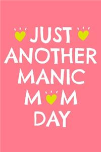 Just Another Manic Mom Day