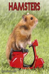 Hamsters Calendar 2020