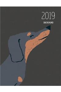 2019 Dachshund