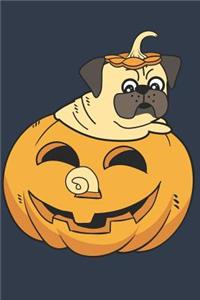 My Cute Pug