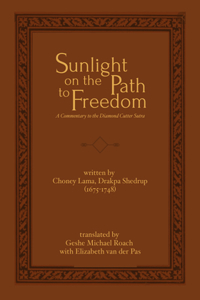 Sunlight on the Path to Freedom