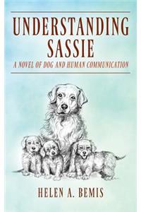 Understanding Sassie