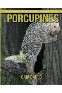 Porcupines