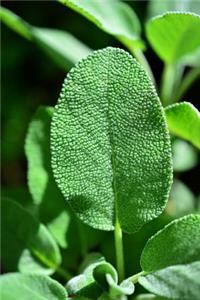 Sage in the Garden Journal