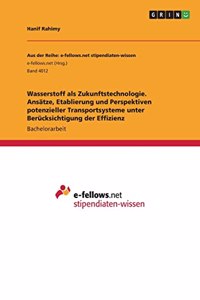Wasserstoff als Zukunftstechnologie. Ansätze, Etablierung und Perspektiven potenzieller Transportsysteme unter Berücksichtigung der Effizienz