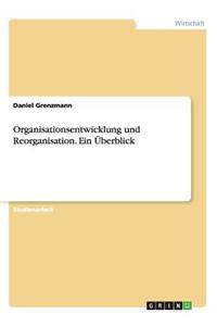 Organisationsentwicklung und Reorganisation. Ein Überblick