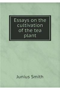 Essays on the Cultivation of the Tea Plant