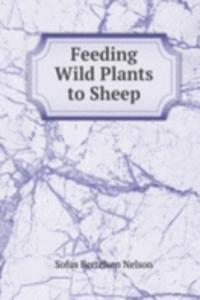 Feeding Wild Plants to Sheep