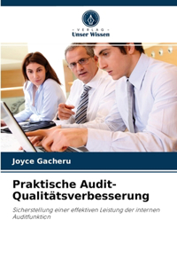 Praktische Audit-Qualitätsverbesserung