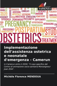 Implementazione dell'assistenza ostetrica e neonatale d'emergenza - Camerun