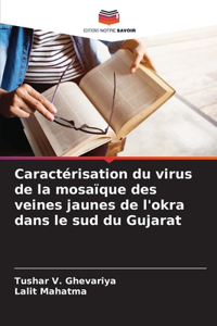 Caractérisation du virus de la mosaïque des veines jaunes de l'okra dans le sud du Gujarat