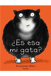 Es Esa Mi Gata?