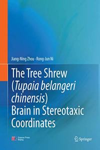 Tree Shrew (Tupaia Belangeri Chinensis) Brain in Stereotaxic Coordinates