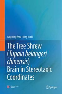 Tree Shrew (Tupaia Belangeri Chinensis) Brain in Stereotaxic Coordinates