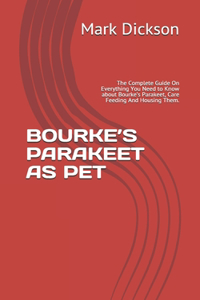 Bourke's Parakeet as Pet