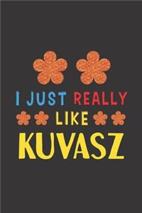 I Just Really Like Kuvasz