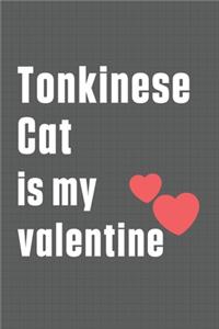 Tonkinese Cat is my valentine