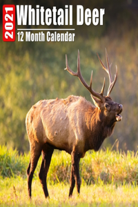 Whitetail Deer Calendar 2021