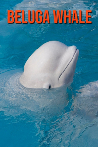 Beluga Whale