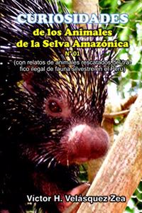 Curiosidades de Los Animales de la Selva Amazónica N° 01