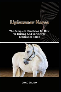Lipizzaner Horse