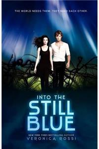 Into the Still Blue
