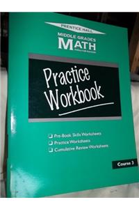 MGM: Practice Workbook Crs 3 2e
