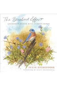 The Bluebird Effect