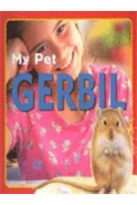 Gerbil