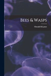 Bees & Wasps