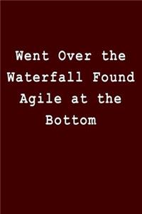 Went Over the Waterfall Found Agile at the Bottom