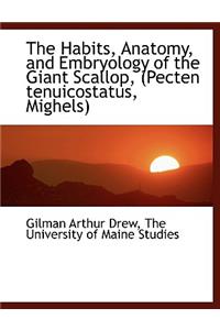The Habits, Anatomy, and Embryology of the Giant Scallop, (Pecten Tenuicostatus, Mighels)