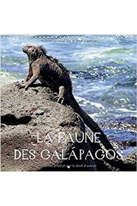 Faune des Galapagos 2017