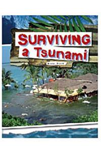 Rigby Focus Forward: Individual Student Edition Surviving a Tsunami