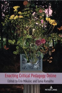 Enacting Critical Pedagogy Online