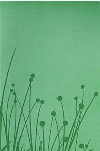 RVR 1960 Biblia Tamaño Personal, pradera verde símil piel
