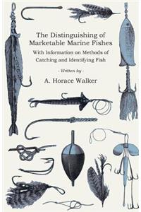 Distinguishing of Marketable Marine Fishes - With Information on Methods of Catching and Identifying Fish