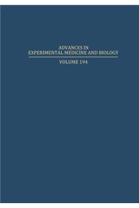 Myocardial and Skeletal Muscle Bioenergetics