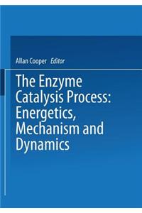 The Enzyme Catalysis Process
