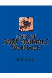 Lots of BABY ANIMALS Workbook