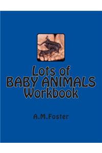 Lots of BABY ANIMALS Workbook