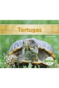 Tortugas